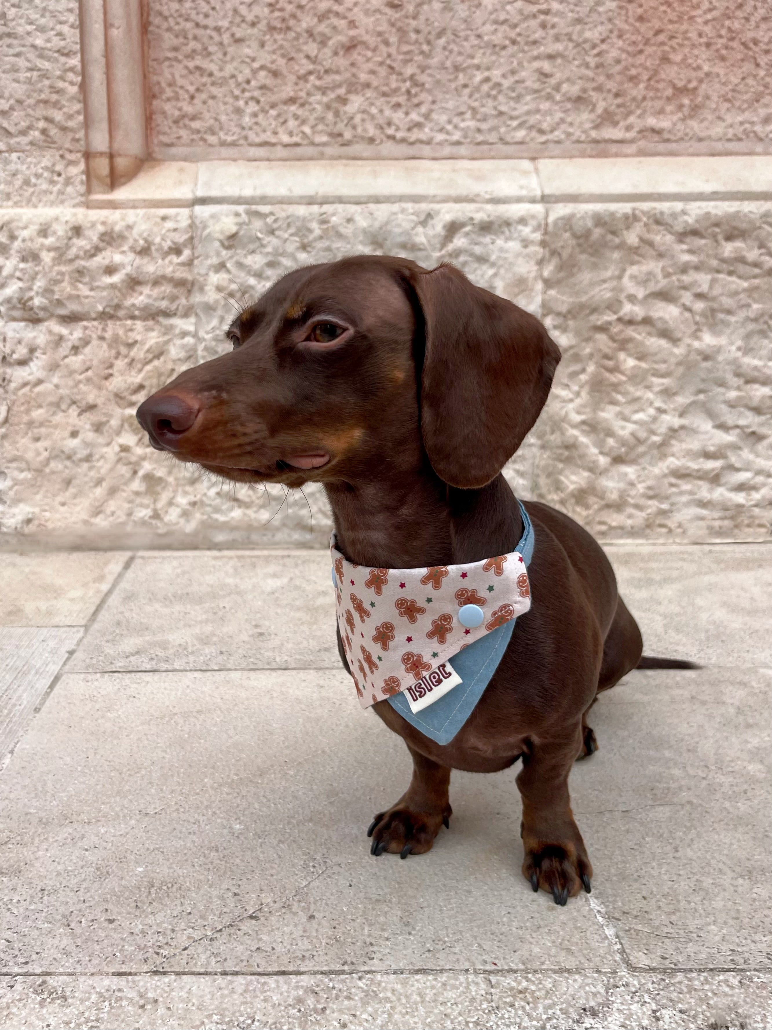 denim bandana with gingerbread man pattern